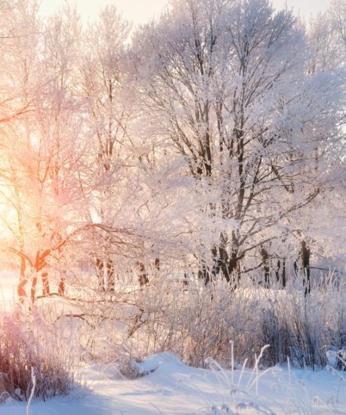 Save money by traveling to these 9 places in winter